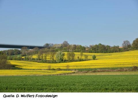 Fruchtbare Kostbarkeit 1