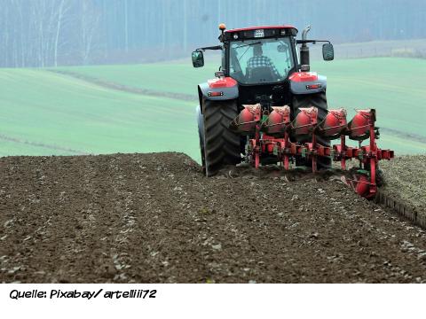 Fruchtbare Kostbarkeit Fruchtbare Kostbarkeit 2