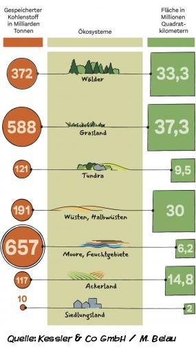 Mülheimer Bodenleben Mülheimer Bodenleben 3
