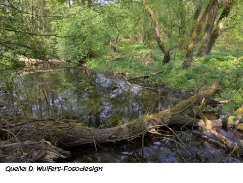 Vom Eis und Wasser