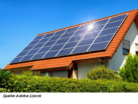 Mülheimer Bodenleben Mülheimer Bodenleben 3