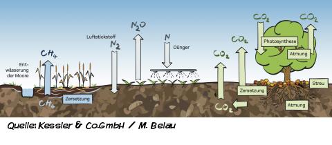Mülheimer Bodenleben Mülheimer Bodenleben