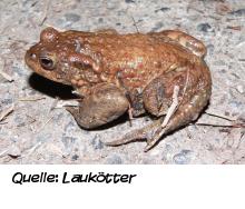 Natürliches Recycling