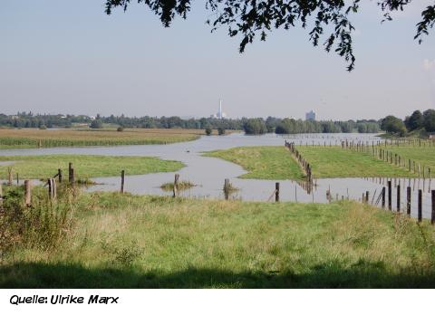 Mülheimer Bodenleben Mülheimer Bodenleben 2