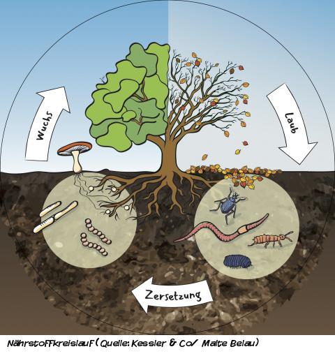 Natürliches Recycling