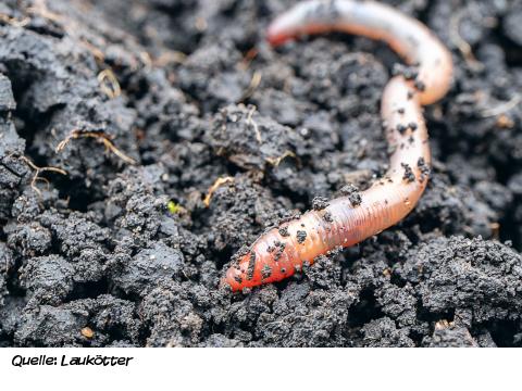 Natürliches Recycling 2