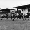 Pferderennen auf der Rennbahn Raffelberg Ende der 1940er Jahre.