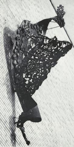 Kühn, Herbert: Herbstflug der Staare, Foto aus: Mülheimer Jahrbuch 1976.