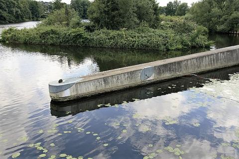 EsRichter, Hermann: Für die springenden Fische, Foto: Kunstmuseum Mülheim an der Ruhr 2009.