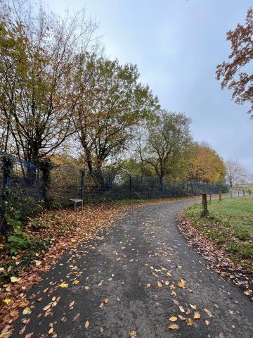 Gedenktafel &quot;Arbeitserziehungslager Flughafen Essen/ Mülheim&quot;, Zustand Herbst 2025; Foto: Kunstmuseum Mülheim an der Ruhr