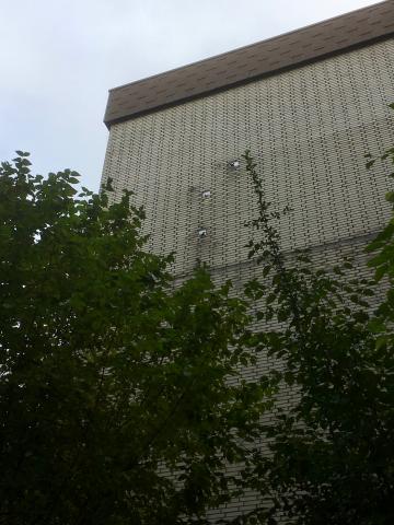 Kühn, Herbert: Herbstflug der Staare, Zustand 2019 mit Überresten der Verankerung, Foto: Kunstmuseum Mülheim an der Ruhr 2019.